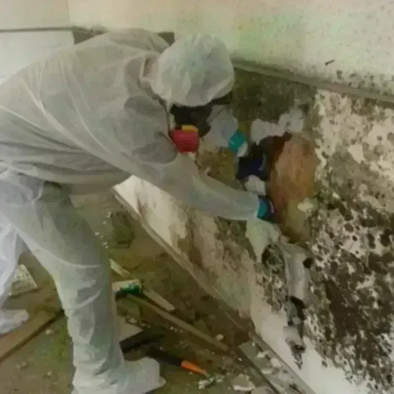 Mold Remediation and Removal in Hazlehurst, GA